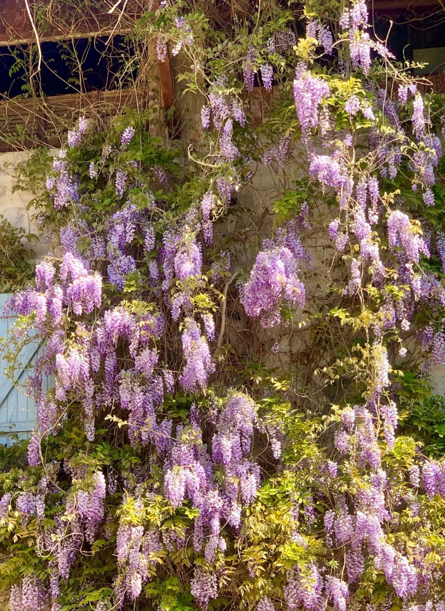 Vercors En Vert , Chambres D'Hotes De Charme Saint-Romans  Exteriér fotografie