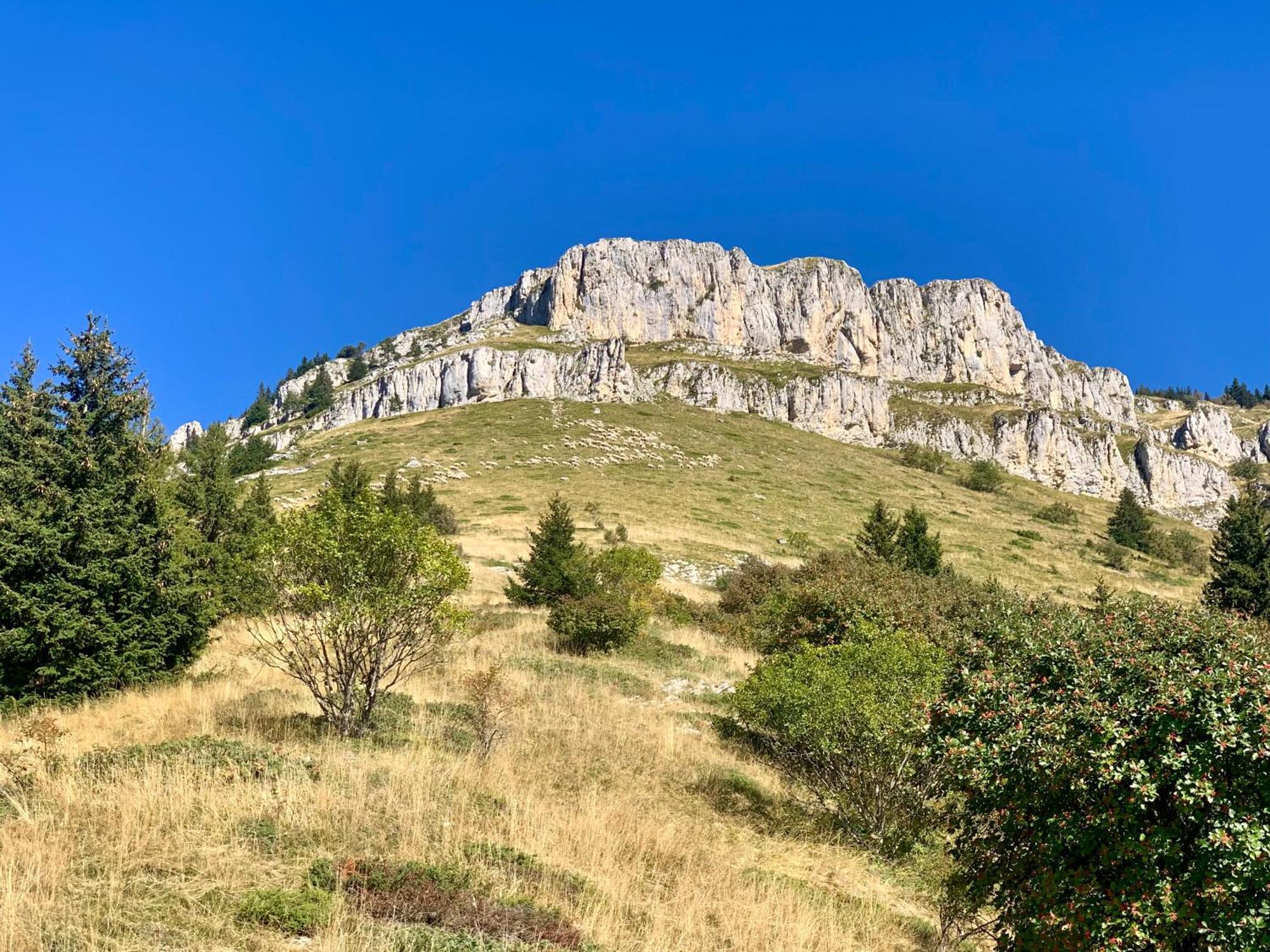 Vercors En Vert , Chambres D'Hotes De Charme Saint-Romans  Exteriér fotografie