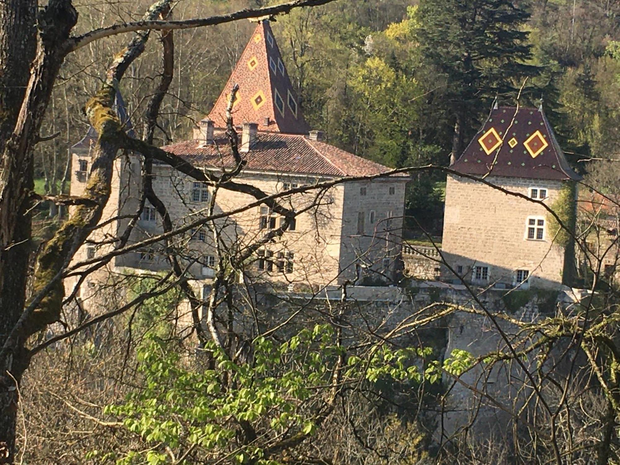 Vercors En Vert , Chambres D'Hotes De Charme Saint-Romans  Exteriér fotografie