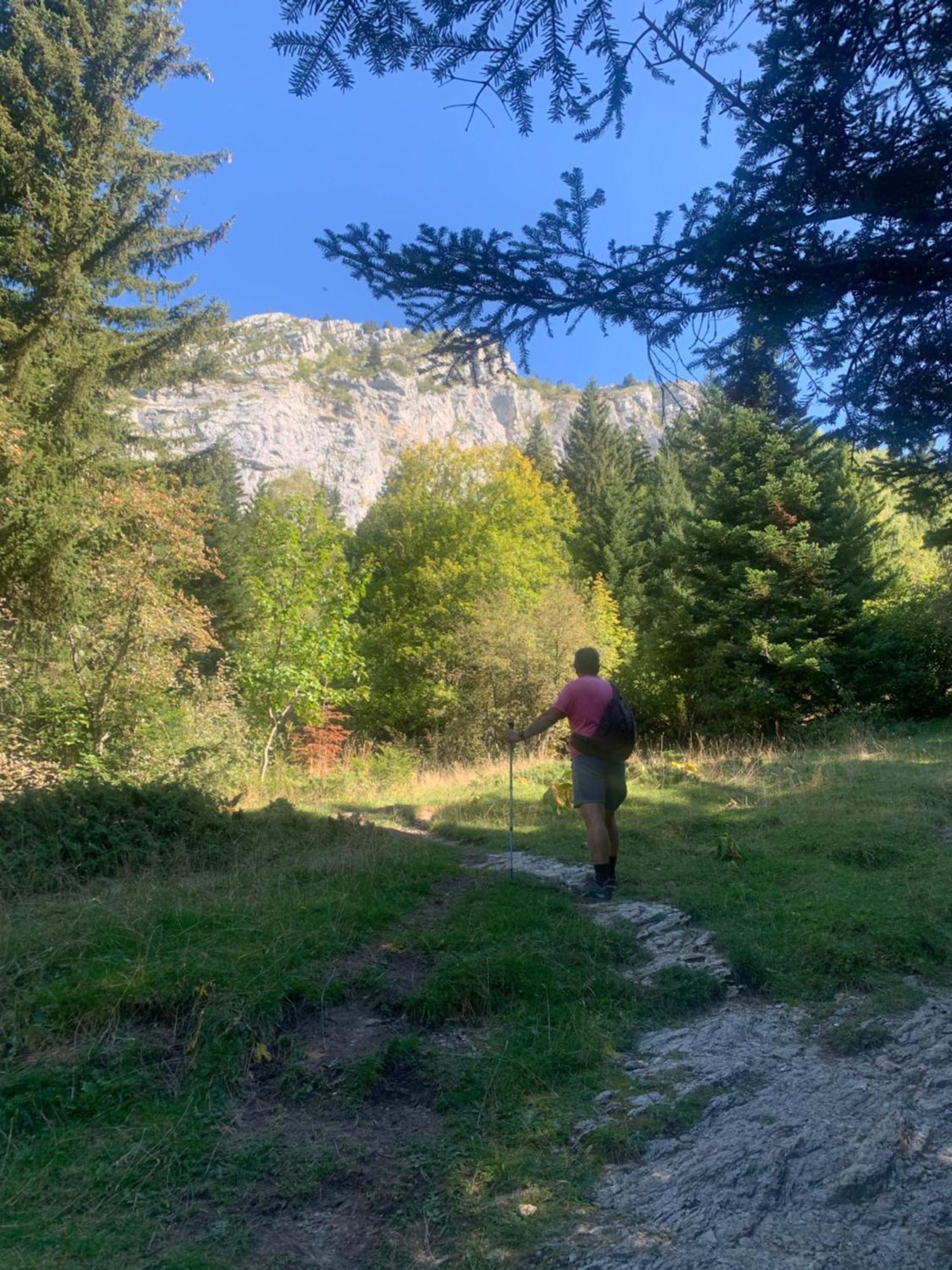 Vercors En Vert , Chambres D'Hotes De Charme Saint-Romans  Exteriér fotografie